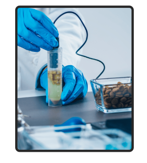 A person in blue gloves holds a tube with liquid, showcasing Ultrak9's positive impact on canine health. Prioritize your pup's well-being with natural nutrition. Act now!